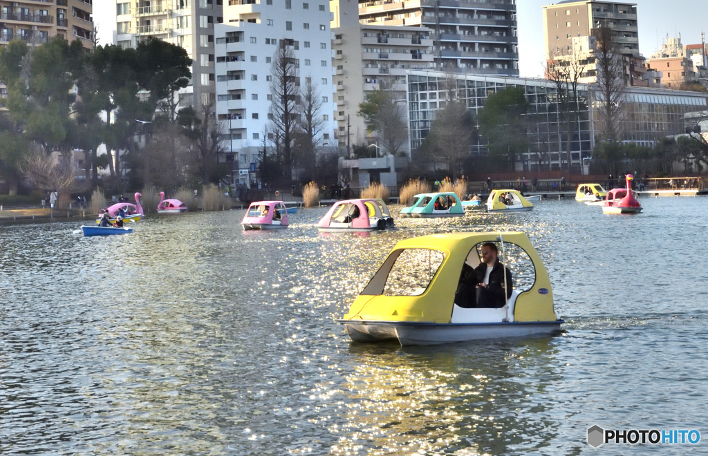 上野公園不忍池