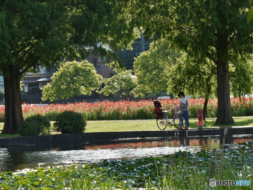 DSC_8016「自転車」