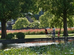 DSC_8016「自転車」