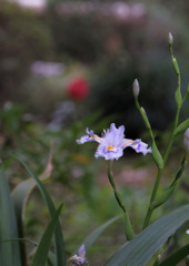 DSCF2159