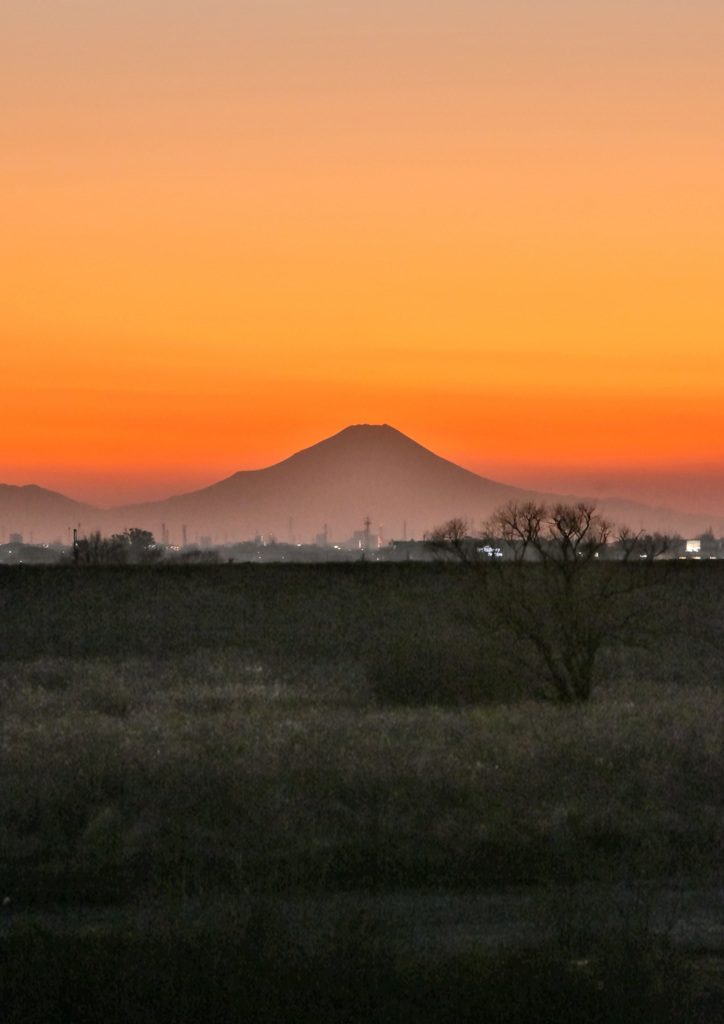 DSC_3306