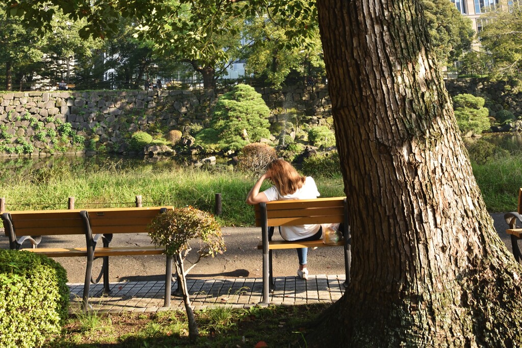日比谷公園・読書