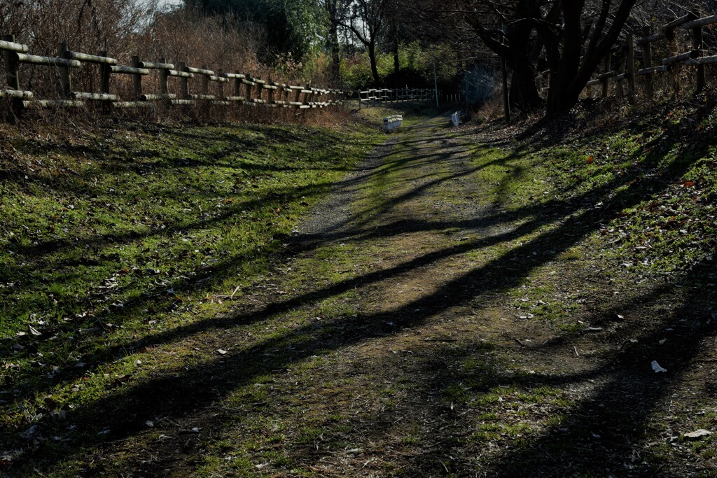 DSC_1908 