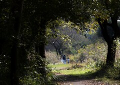 遠い日の思い出