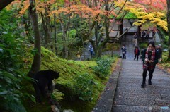 早く涼しく