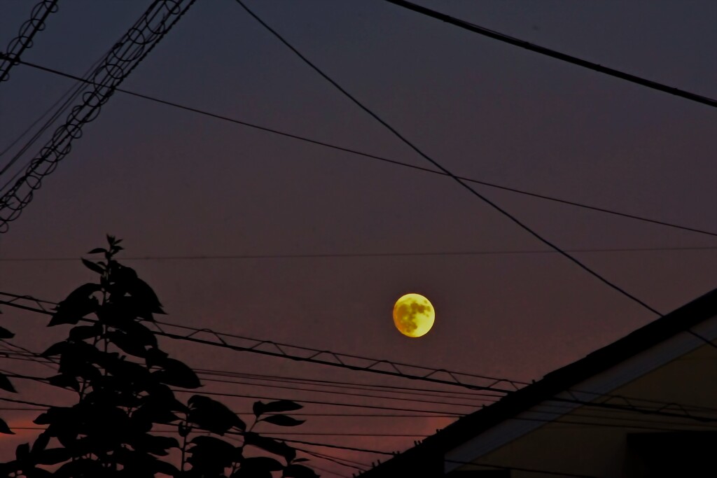月