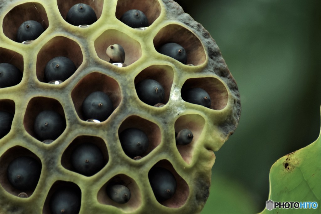 個室ドリンク付き