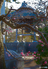 DSCF2353「梅香る鐘楼」