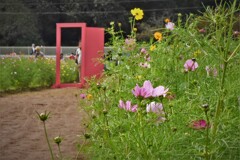 どこでもドア見つけました^^