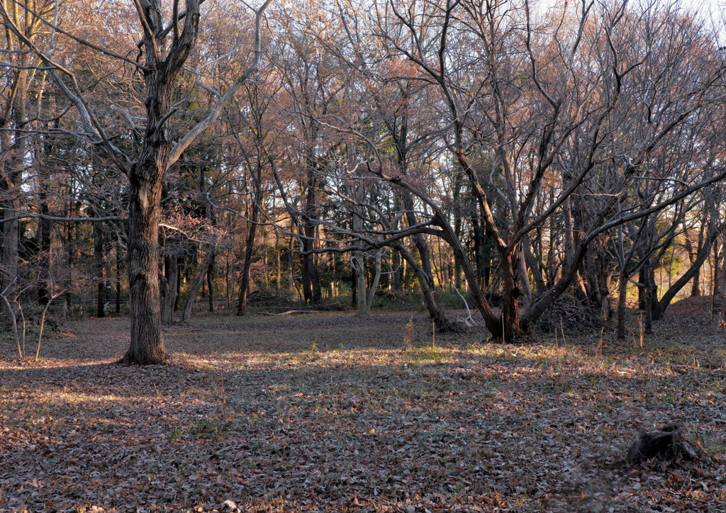 里山公園