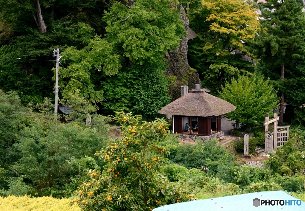 実りの秋・・・柿