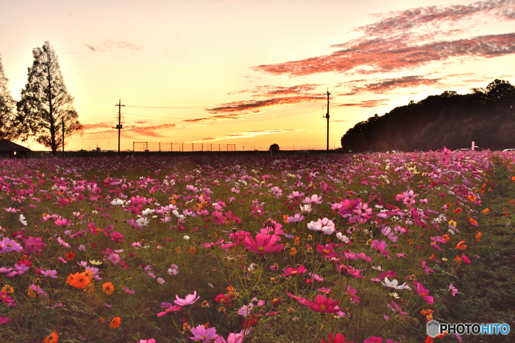 DSC_2533日の出前