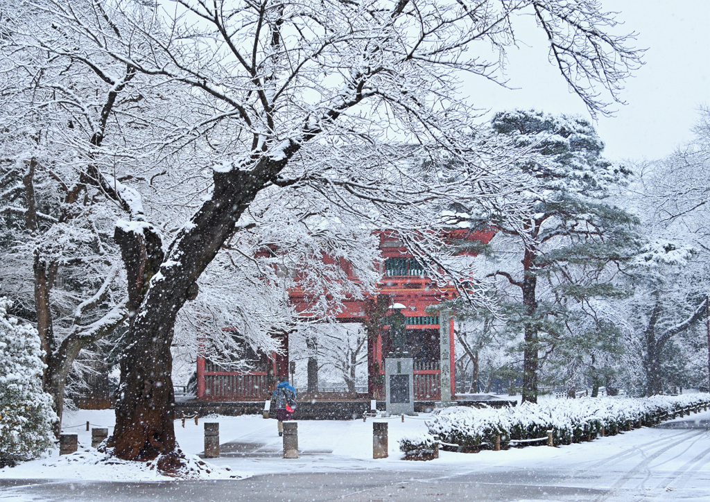 暑い日は・・・