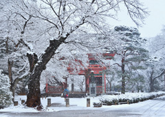 暑い日は・・・