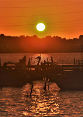 ボートスワンの終日