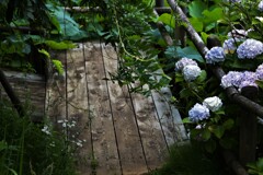 DSC_8778 藤棚の下では・・