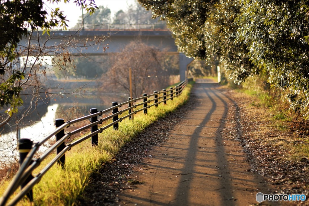 陽を浴びて・・