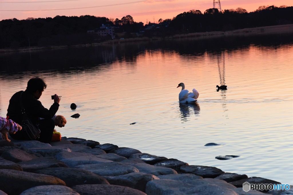 撮れましたか！！