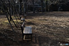 誰もいない公園