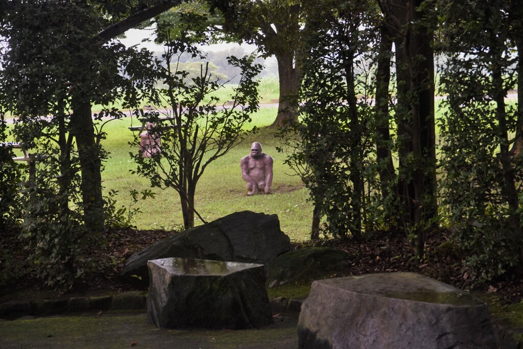 ゴリラのいる公園