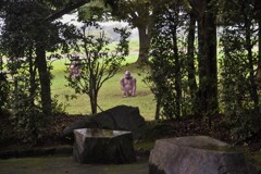 ゴリラのいる公園