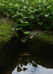 DSC_7505