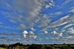 DSC_8055