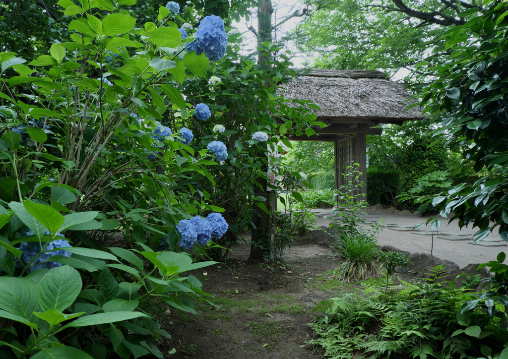 門