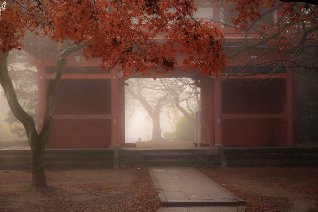 朝