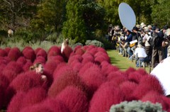 エイリアン誕生