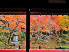 DSCN5117