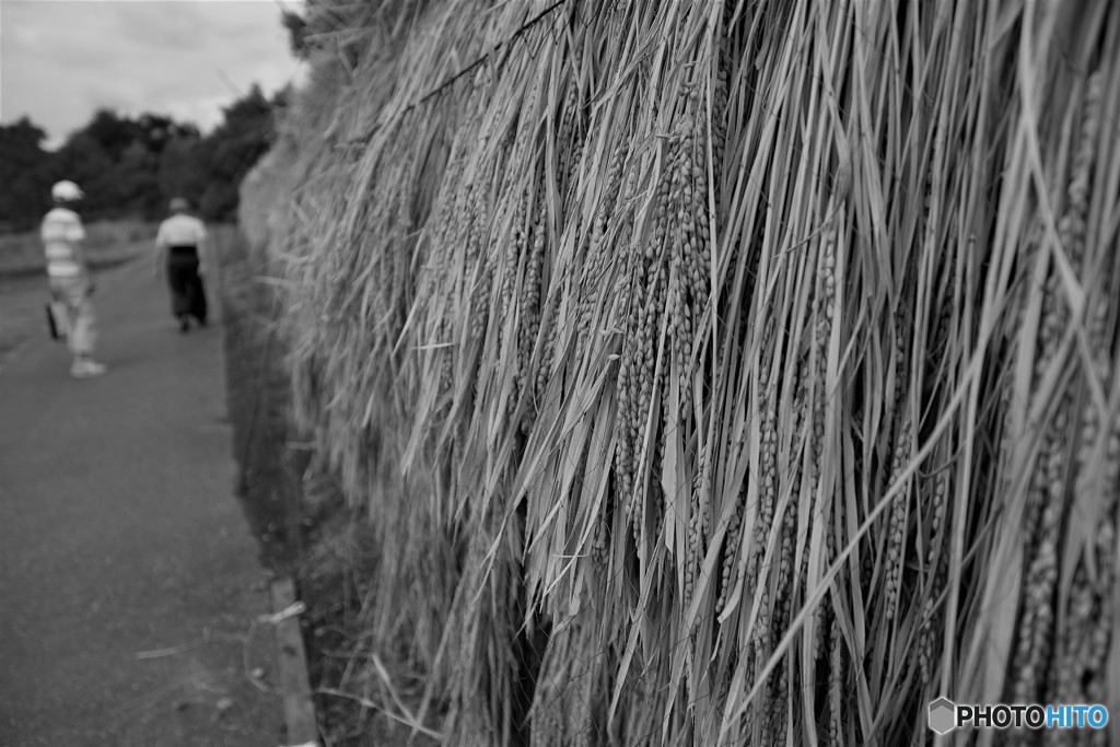 美味しくなあ～れ