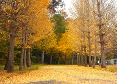 理科大キャンパス内