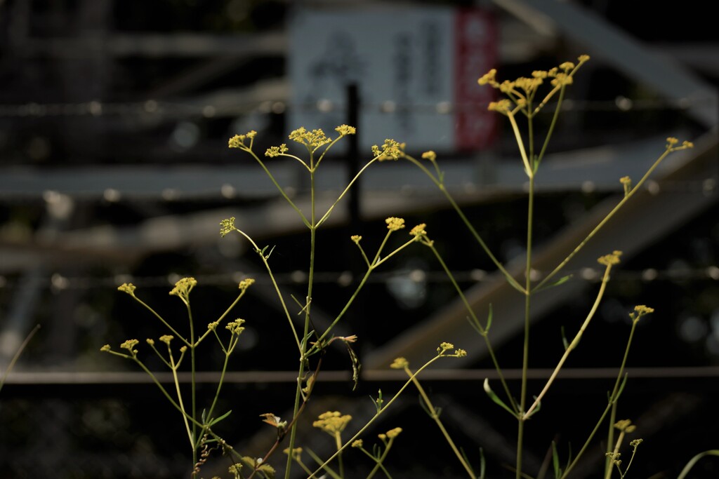 危険のぼるな！！