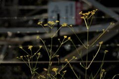 危険のぼるな！！