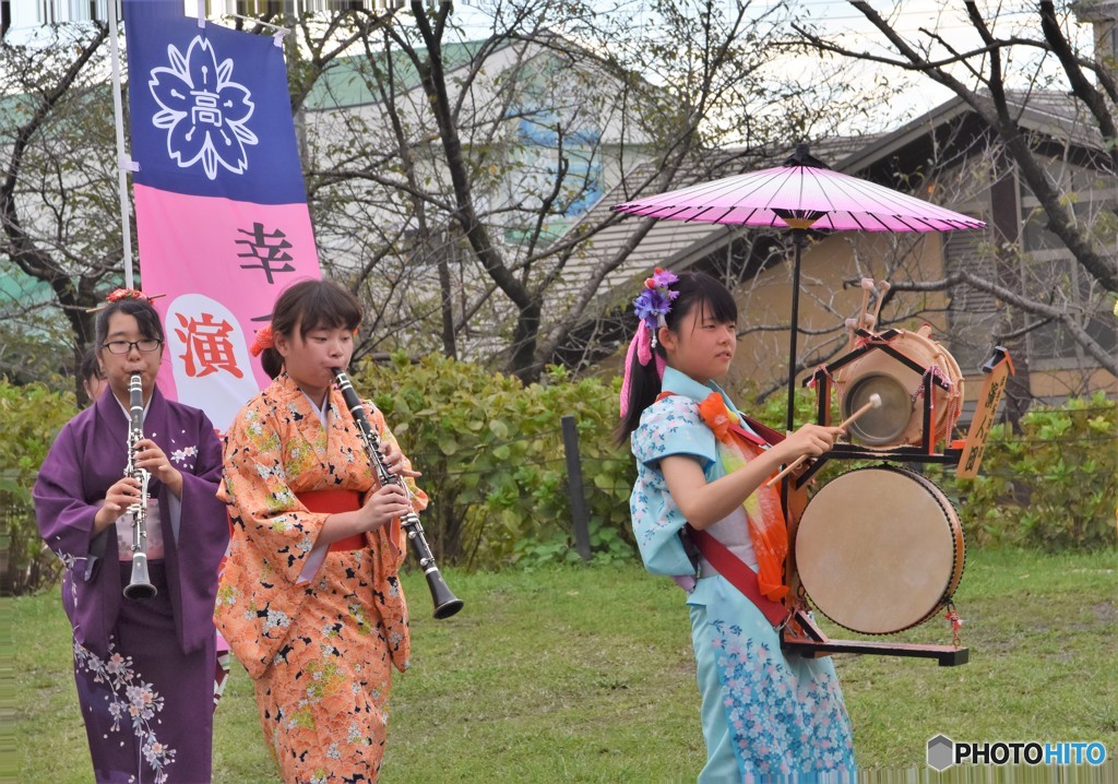 権現堂曼珠沙華まつり１