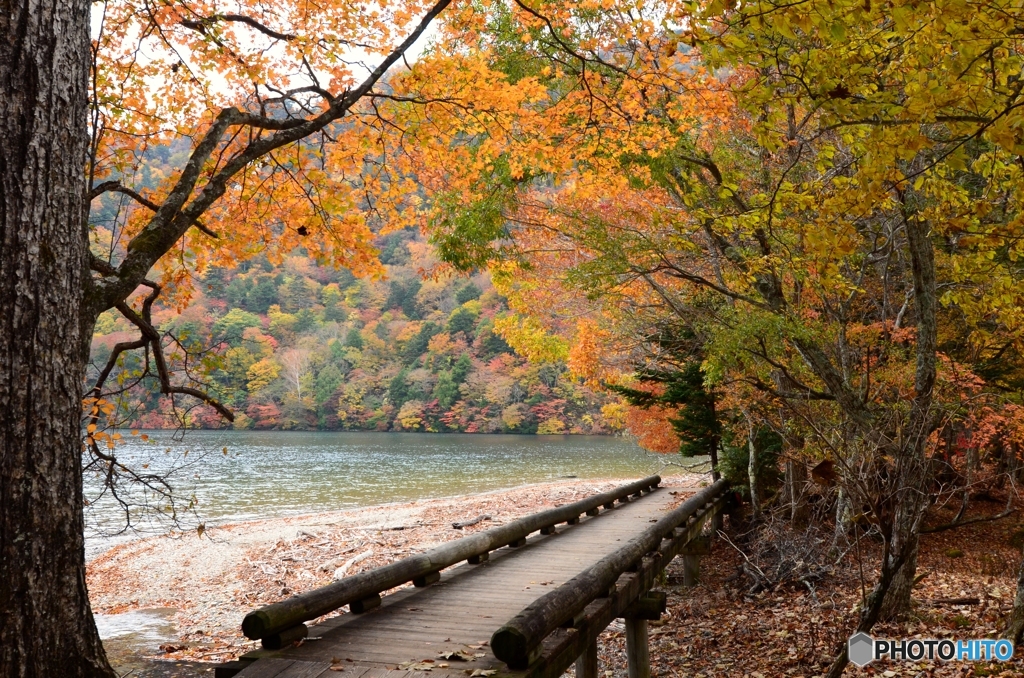 中禅寺湖の秋　1