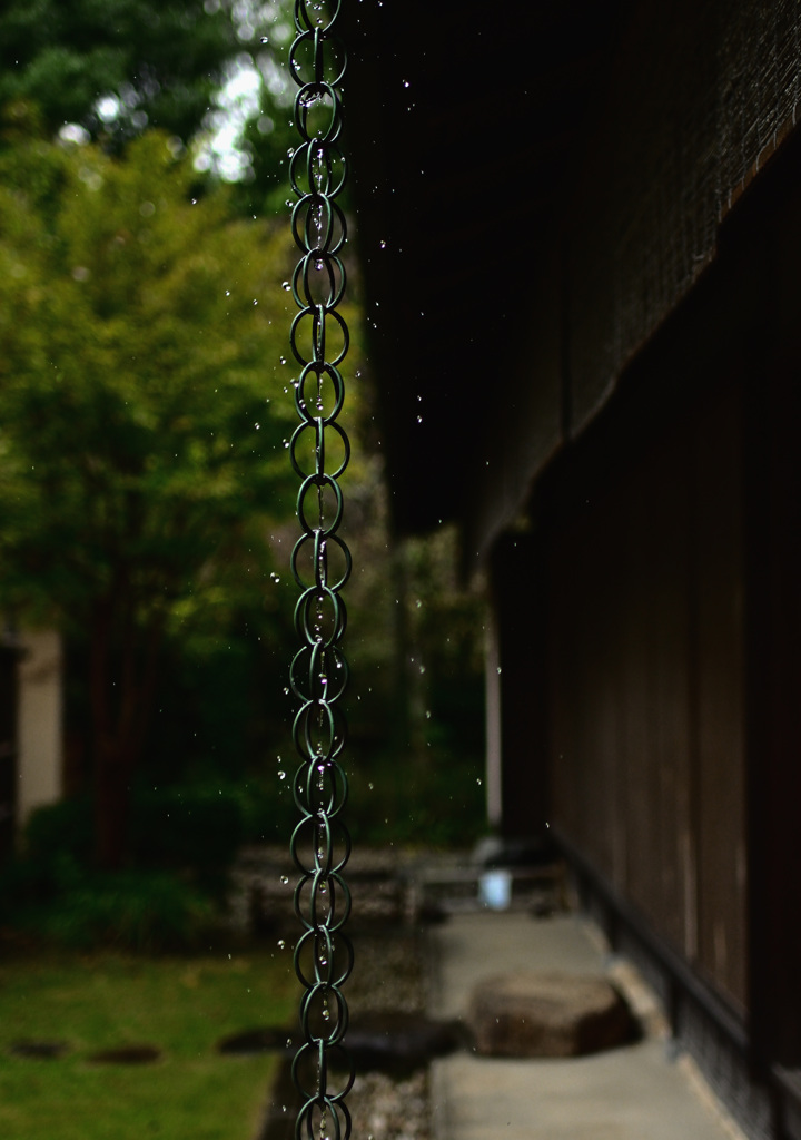 雨降り