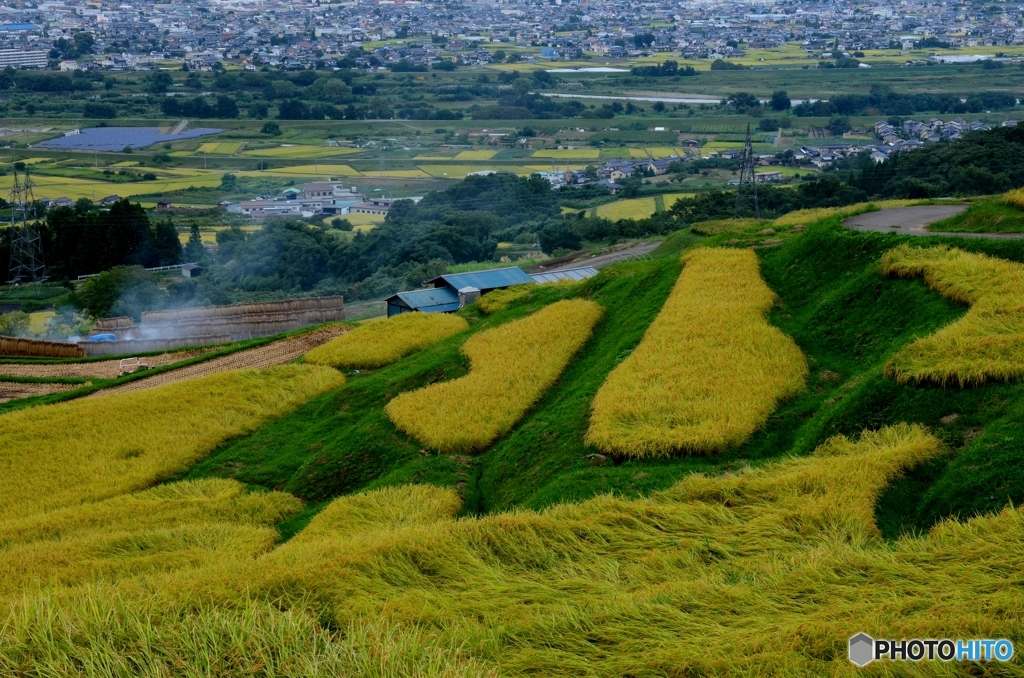 実りの秋・・・棚田2
