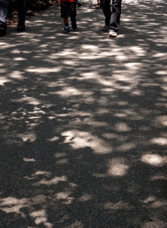 散歩道