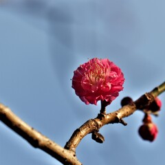 DSCF6857 DSCF6857