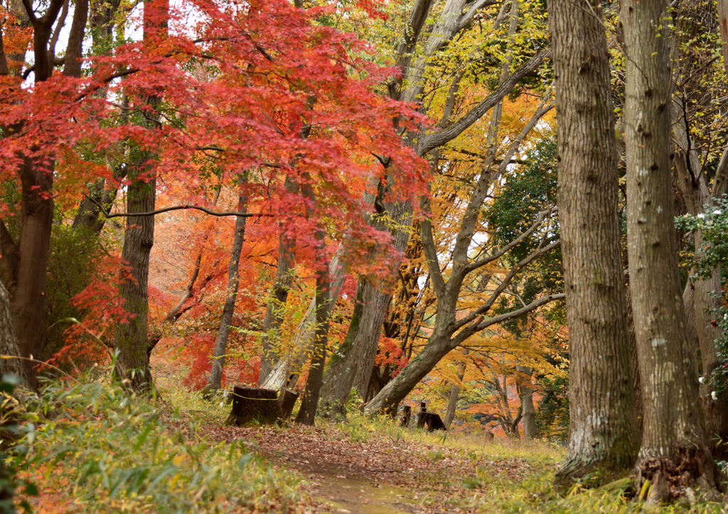 理科大キャンパス内