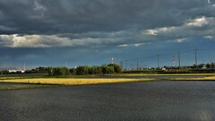 増えました休耕田