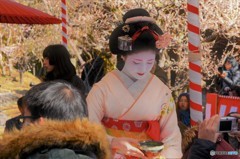 野点！撮影会？