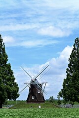 DSC_8318