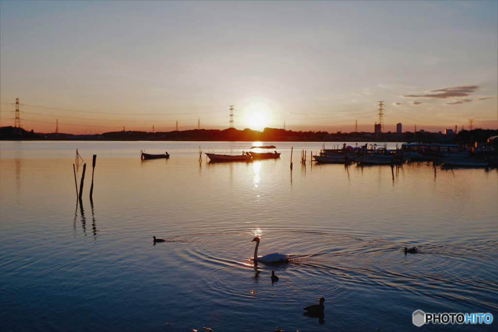 DSCF1235　手賀沼