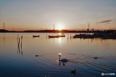 DSCF1235　手賀沼