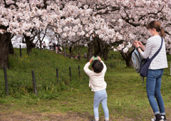 大きく見えます＾.＾