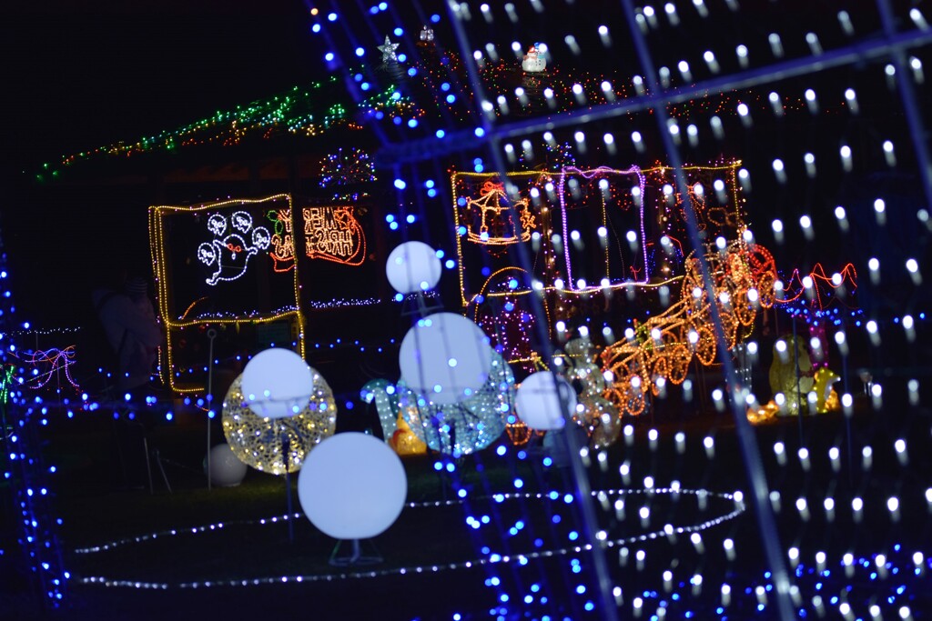 イルミネーション