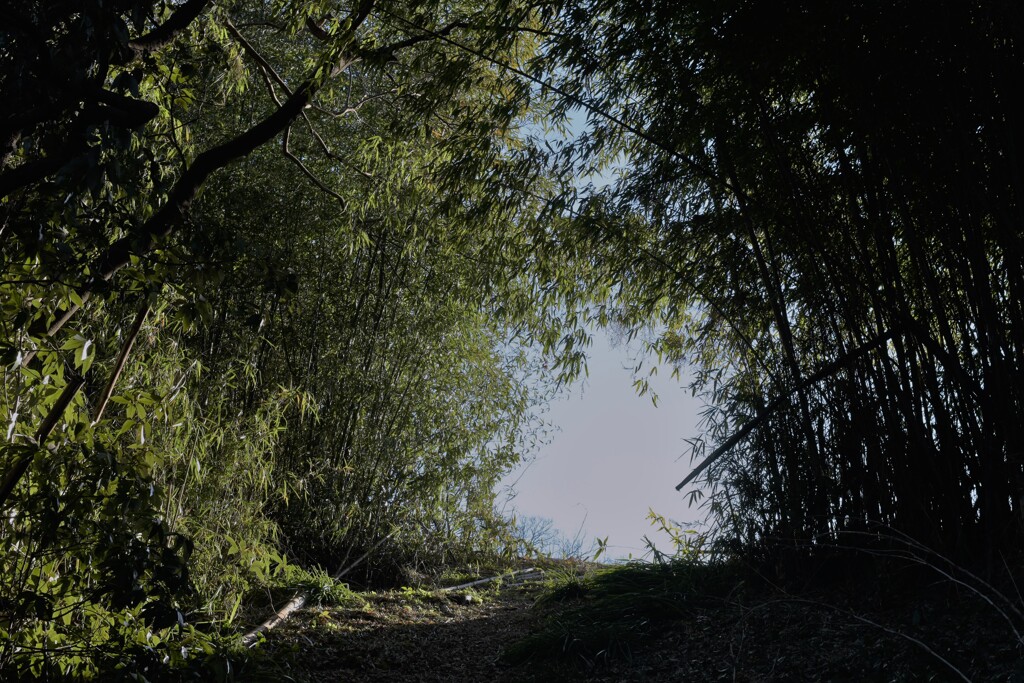 坂道を上がりきる